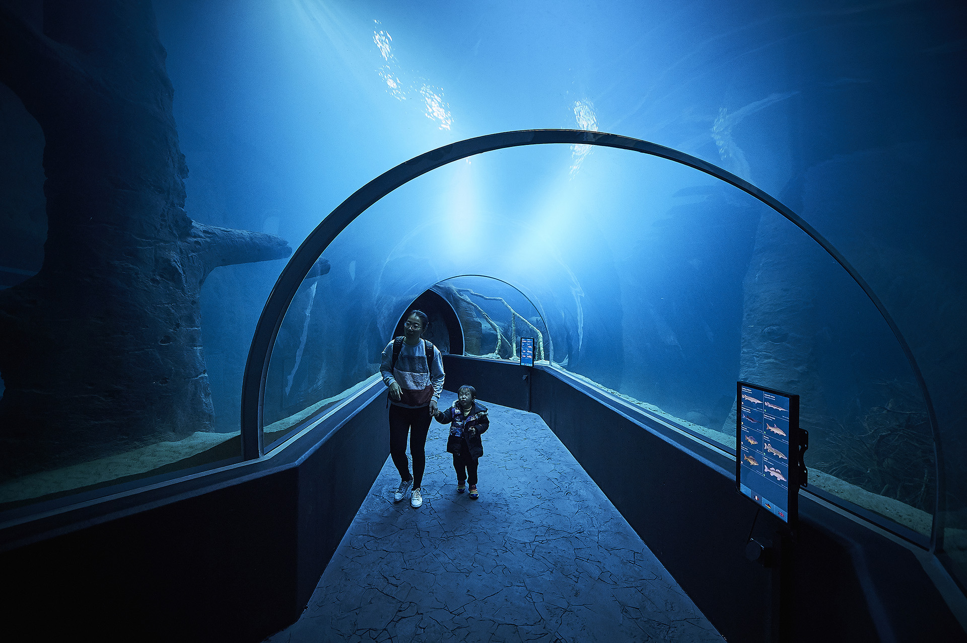 Lausanne, 21 octobre  2017 Ouverture du Vivarium Aquarium Aquatis,  &copy; sedrik nemeth