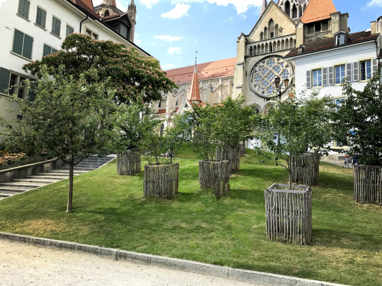 pique-nique(c)MyLausanne