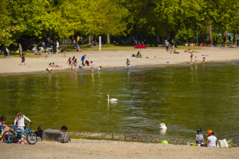 D&eacute;tente et baignade &agrave; la plage du Parc Bourget, Vidy-Lausanne
