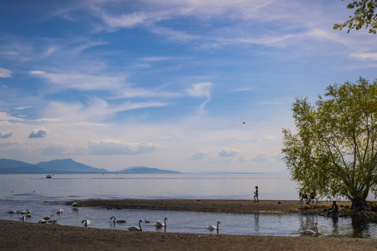 Plage du Parc Bourget, Vidy-Lausanne (c) www.diapo.ch