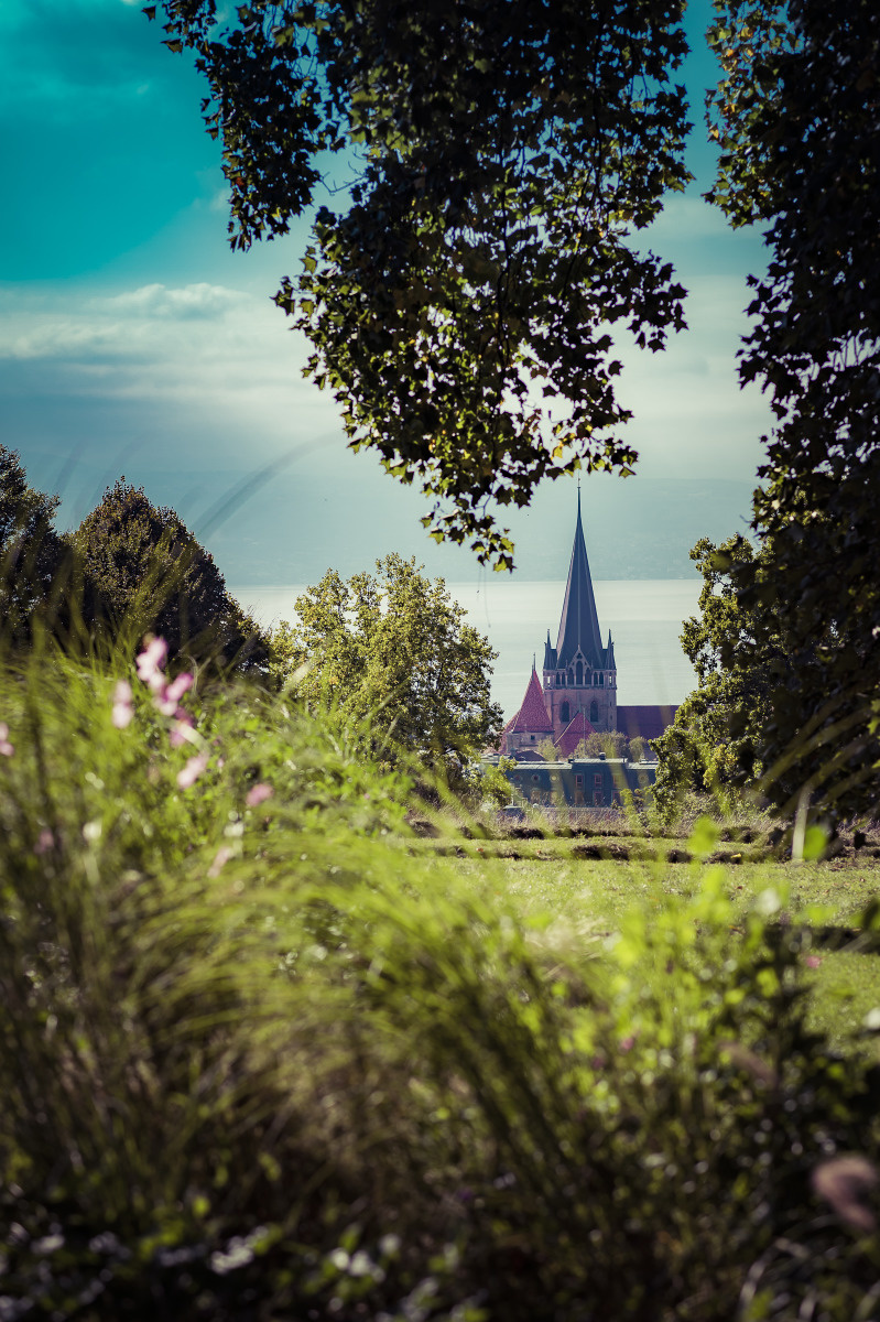 Vue sur la Cath&eacute;drale depuis le Parc de l'Hermitage, Lausanne