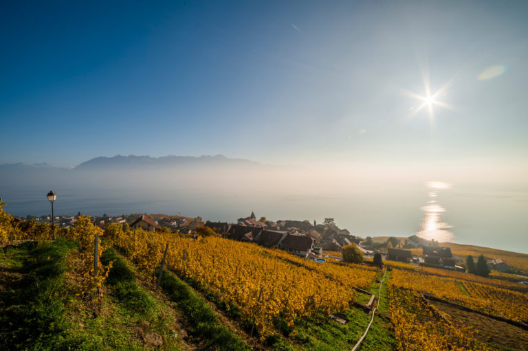 7 choses &agrave; voir absolument &agrave; Lausanne
