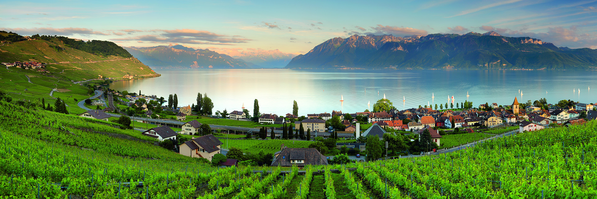 Vue panoramique de la r&eacute;gion de Lavaux