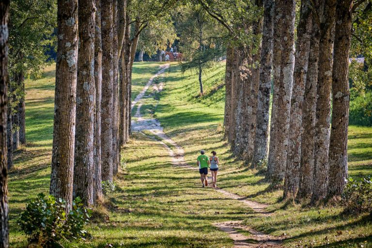 Balade &agrave; cheval et jogging dans les bois