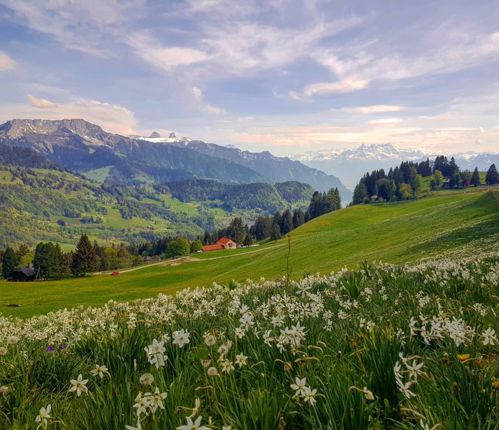 Nos randonn&eacute;es pr&eacute;f&eacute;r&eacute;es au d&eacute;part de Lausanne