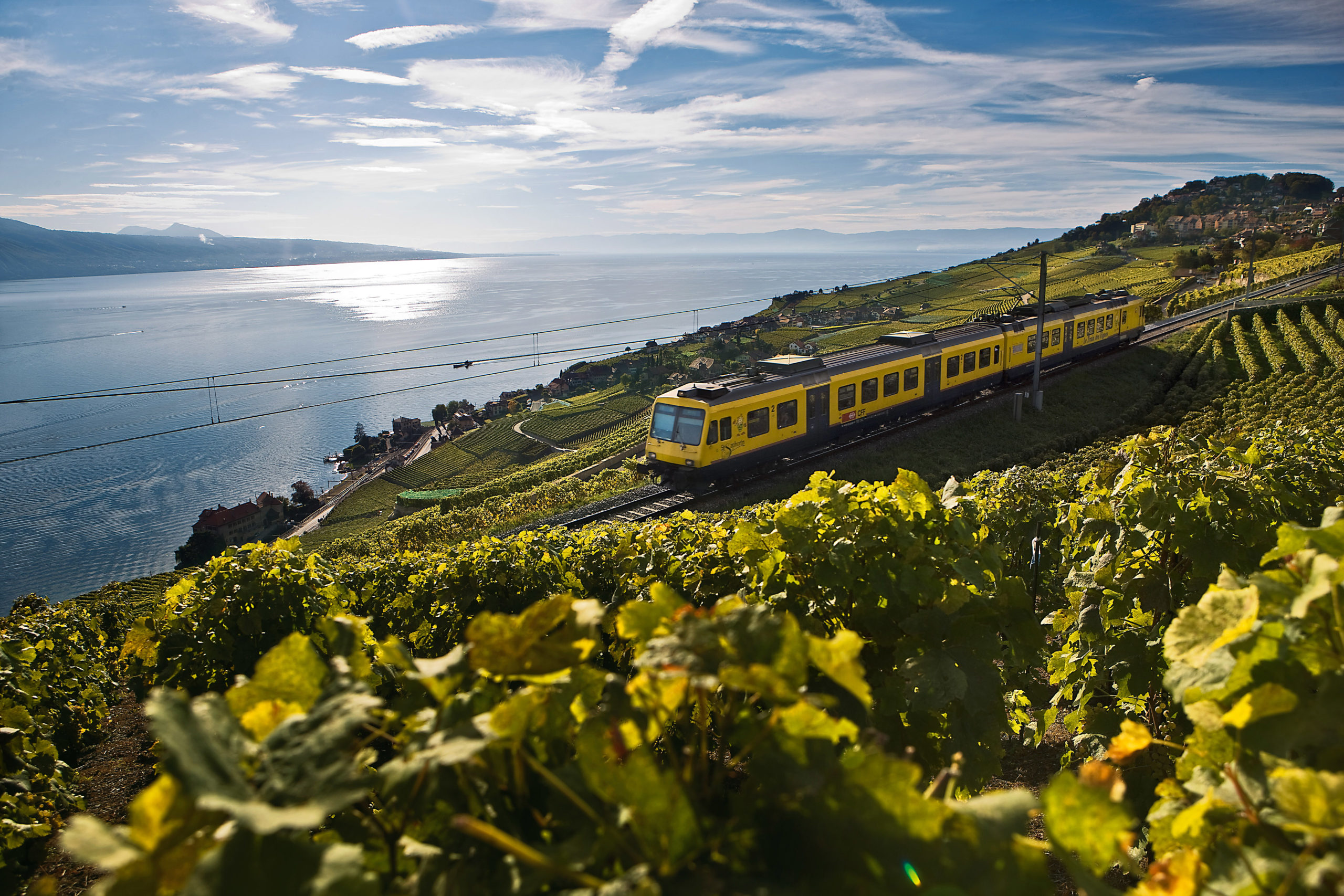 Passage du train des vignes dans le Lavaux
