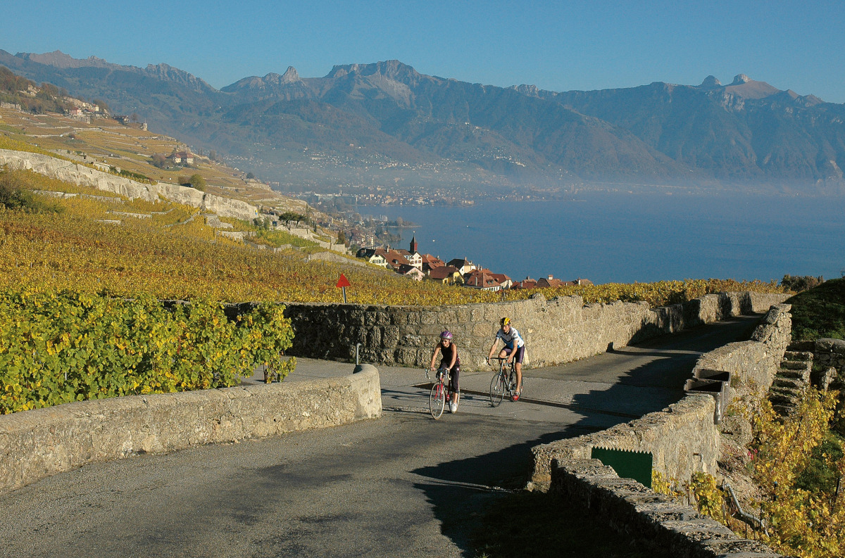 Balade &agrave; v&eacute;lo dans le vignoble de Lavaux