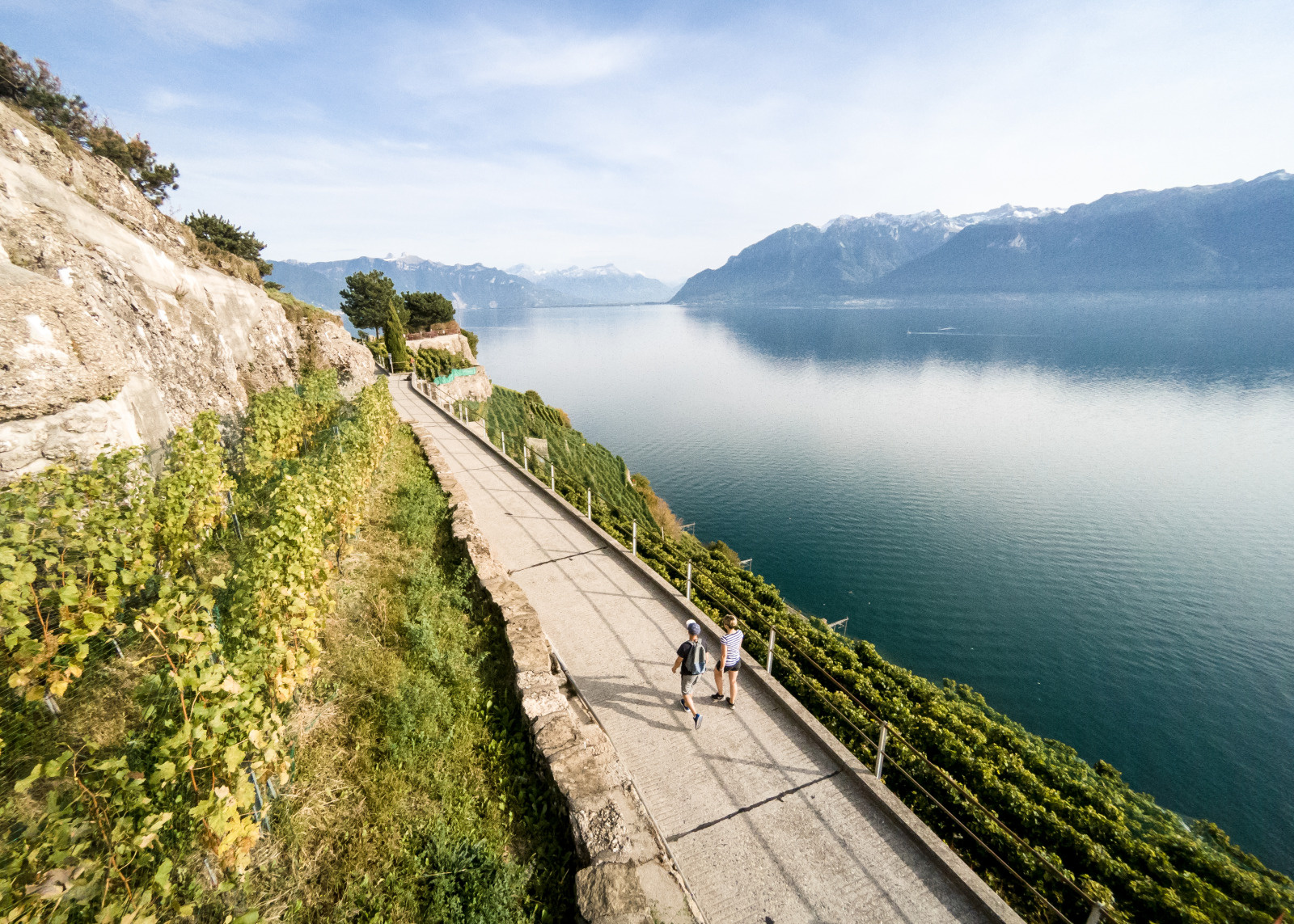 Balade dans le Lavaux avec vue sur le lac Leman