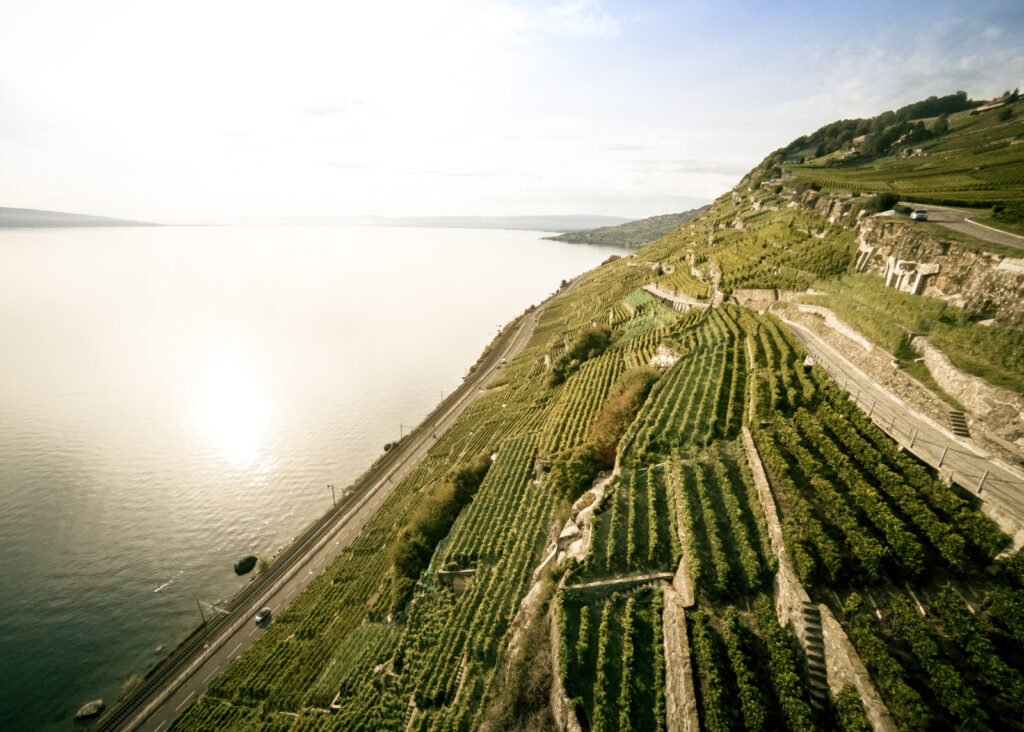 La magie de Lavaux