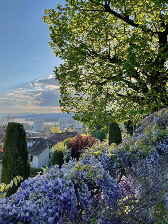 Le printemps &agrave; Lausanne