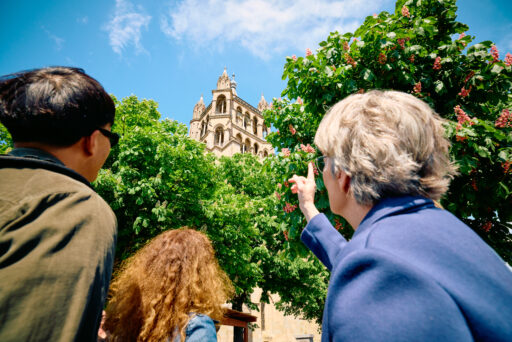 Visite guidée: Trésors du centre-ville