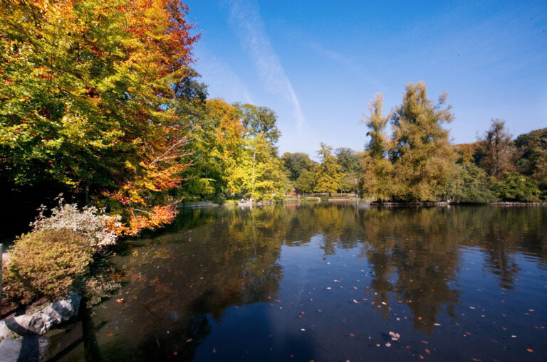 Le Lac de Sauvabelin dans son ecrin de verdure
